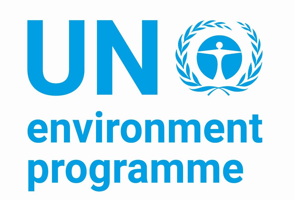 UNEP_2019_English