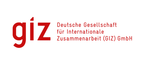 GIZ logo